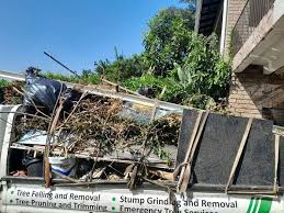 Best Dumpster Rental Services  in Marcus, IA